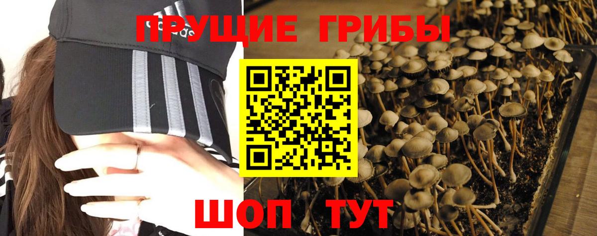 Псилоцибиновые грибы Magic Shrooms  Вход с VPN  Борзя 